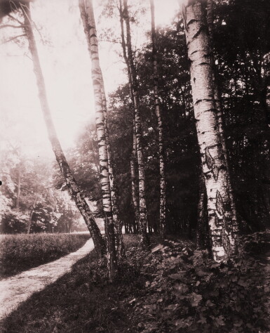 View full screen - View 1 of Lot 947. Parc de Saint-Cloud (birches).