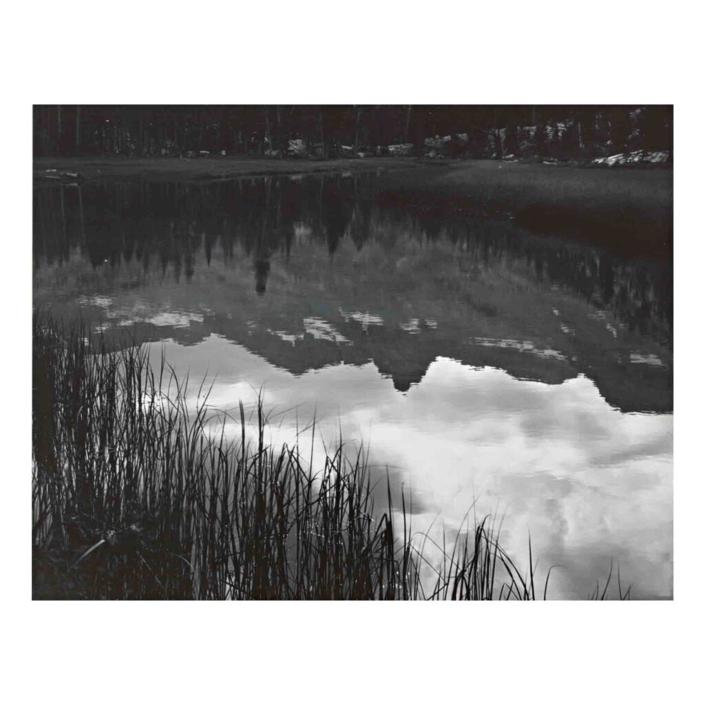View full screen - View 1 of Lot 92. Reflections, Lyell Fork of the Merced River.