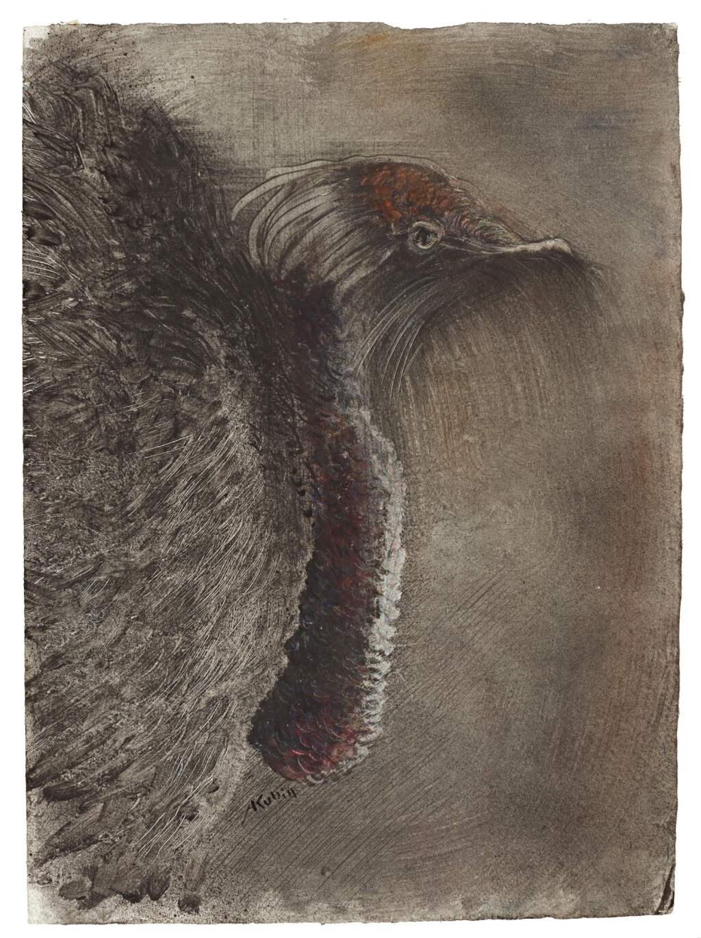 View full screen - View 1 of Lot 332. ALFRED KUBIN | KASUARKOPF (HEAD OF A CASSOWARY).