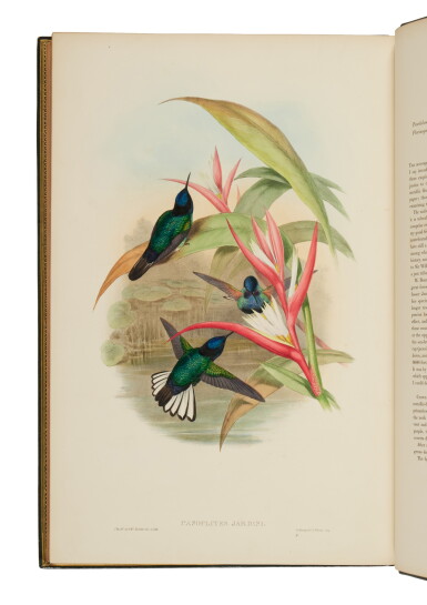 View full screen - View 1 of Lot 1019. Gould, John | Gould's masterpiece, lavishly bound.