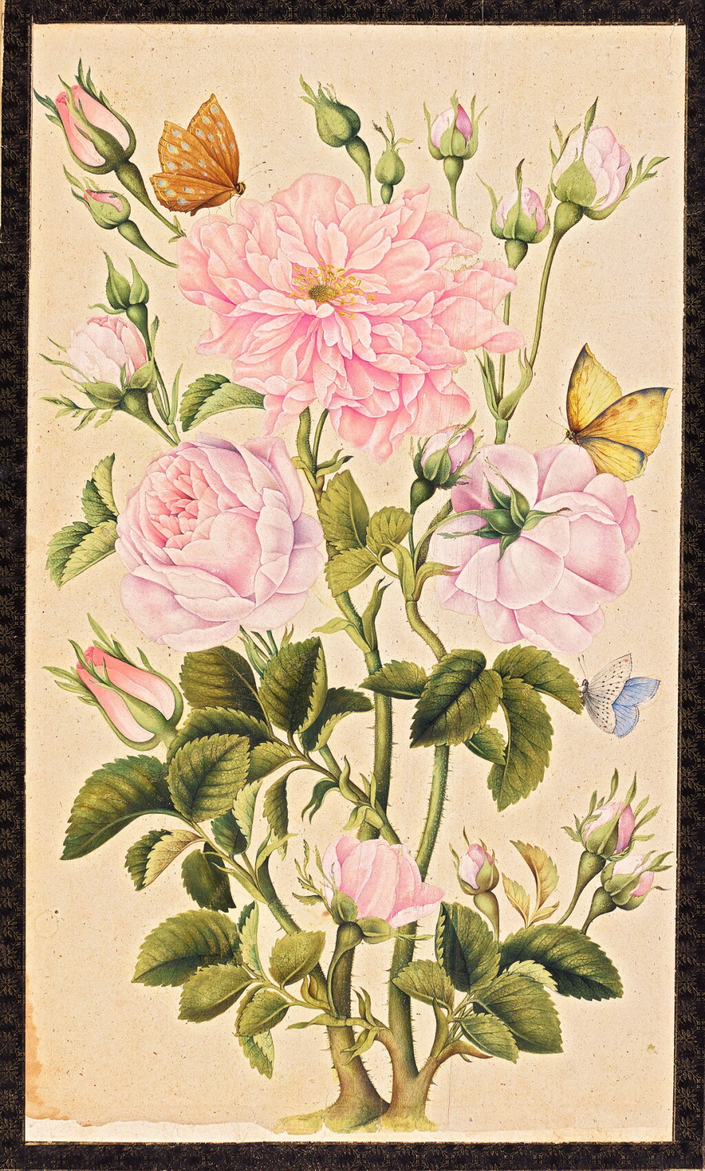 全螢幕檢視 - 查看173A FLOWER STUDY, ATTRIBUTED TO MUHAMMAD BAQIR ISFAHANI, PERSIA, QAJAR, 19TH CENTURY的1