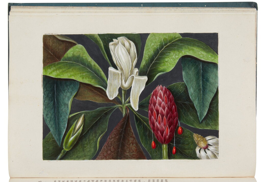 View full screen - View 1 of Lot 1022. Catesby, Mark | With plates much-loved by Jefferson.