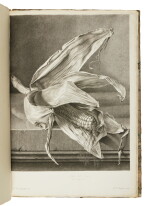 Spaendonck, Gerard Van | "magnificent drawings, brilliantly interpreted in stipple"