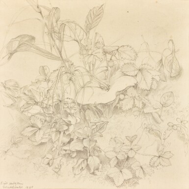 View full screen - View 1 of Lot 116. ELIOT HODGKIN | WILD STRAWBERRIES.