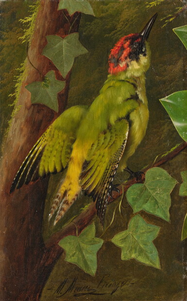 View full screen - View 1 of Lot 2. Study of a green woodpecker.