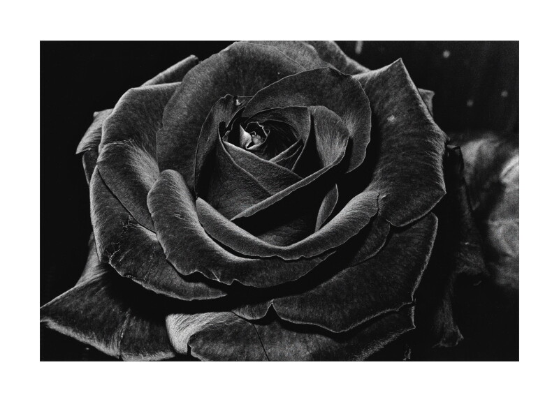 Cover image 0