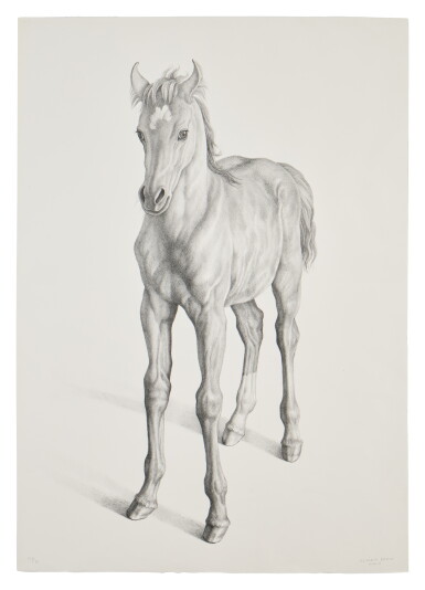 View full screen - View 1 of Lot 848. Caballo.