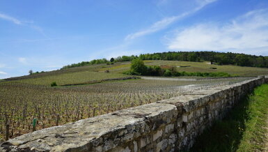 View full screen - View 1 of Lot 536. Richebourg 2018 Maison Roche de Bellene (6 BT).