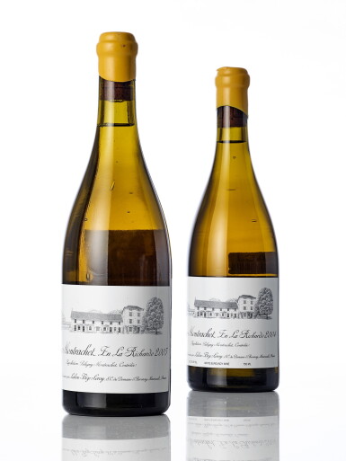 View full screen - View 1 of Lot 6987. Puligny Montrachet, En La Richarde 2004 Domaine d'Auvenay (1 BT).