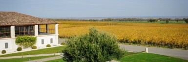 View full screen - View 1 of Lot 84. Château Sociando Mallet 1989 (12 BT).