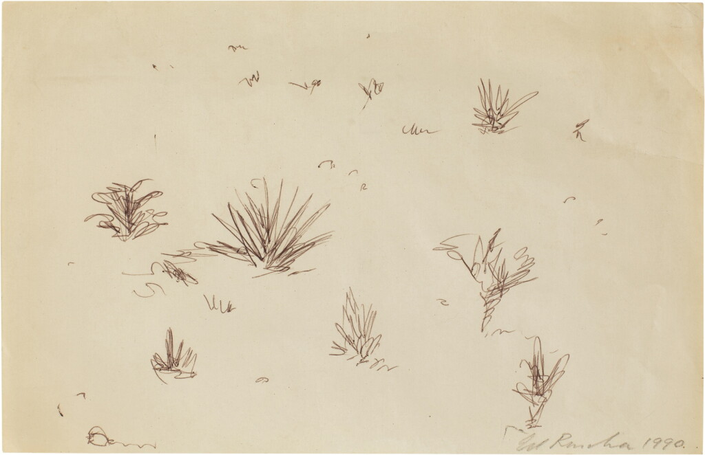 View full screen - View 1 of Lot 1135. Desert Vegetation.