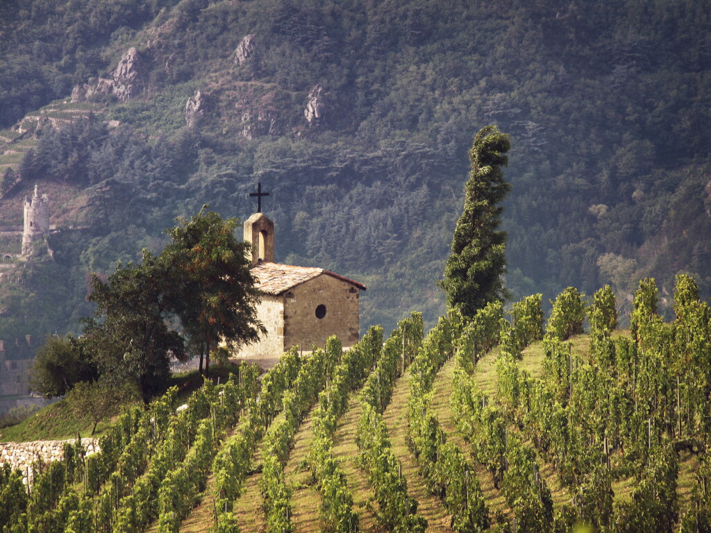 View full screen - View 1 of Lot 293. Crozes Hermitage, Domaine de Thalabert Rouge 1985 Paul Jaboulet Aîné (6 MAG).