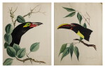 TWO WORKS: TROPICAL BIRDS IN TREES