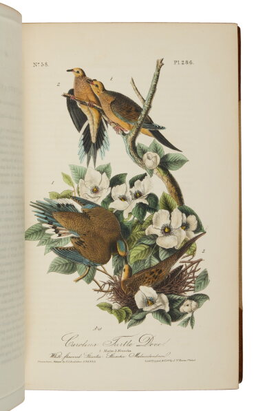 View full screen - View 1 of Lot 1107. Audubon, John James | First octavo edition of Audubon's greatest achievement.