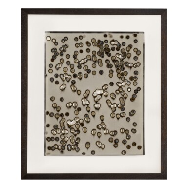 View full screen - View 1 of Lot 154. CHRIS MCCAW | 'SUNBURNED GSP#145'.