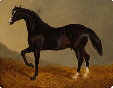 View full screen - View 1 of Lot 195. The Earl of Egremont's Camel in a Stable.