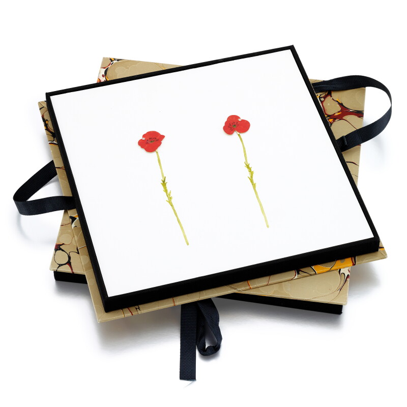 Cover image 0