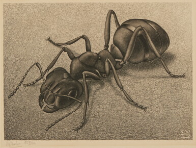 View full screen - View 1 of Lot 15. Ant.