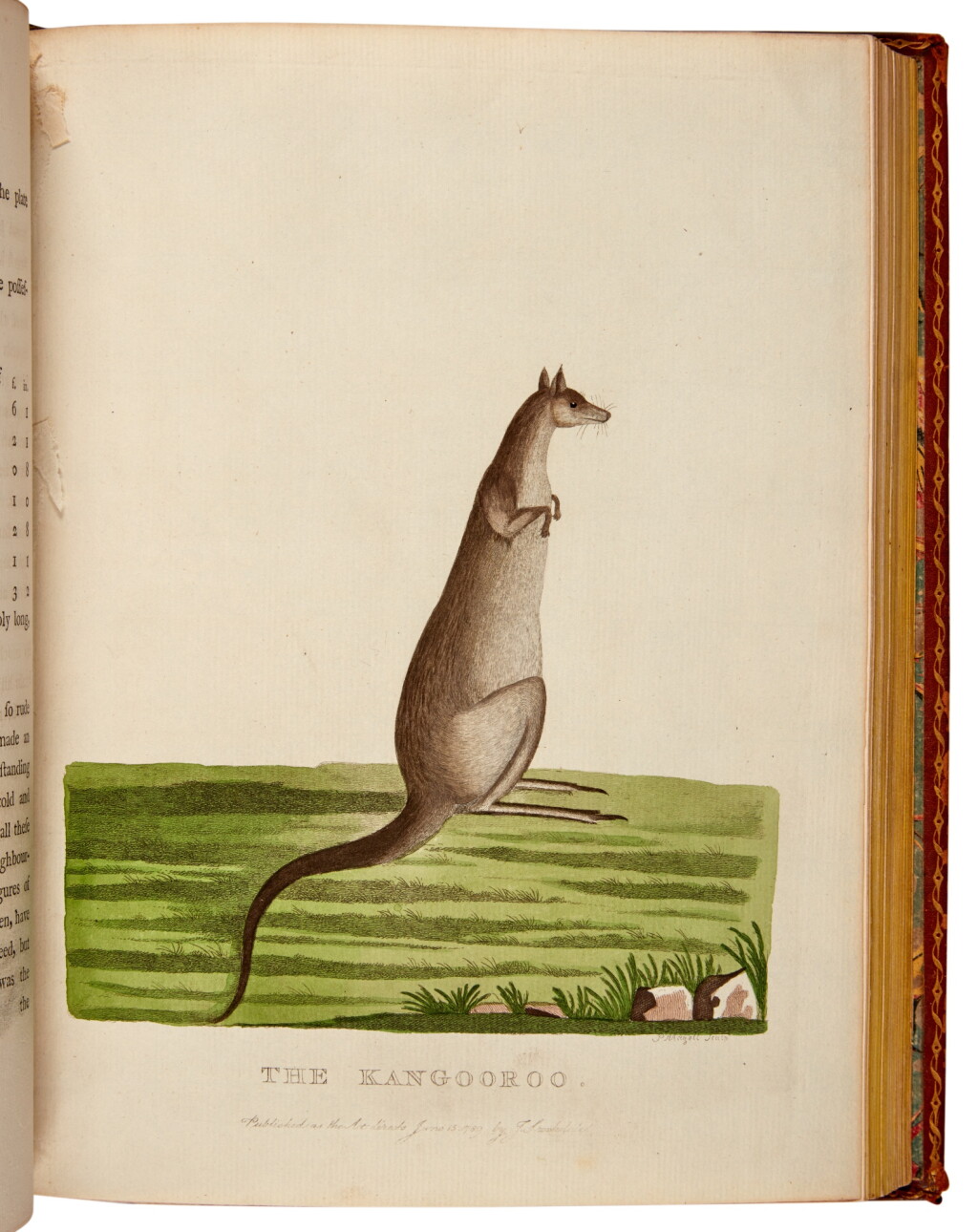 View full screen - View 1 of Lot 43. Arthur Phillip | The Voyage... to Botany Bay, 1789, first edition.