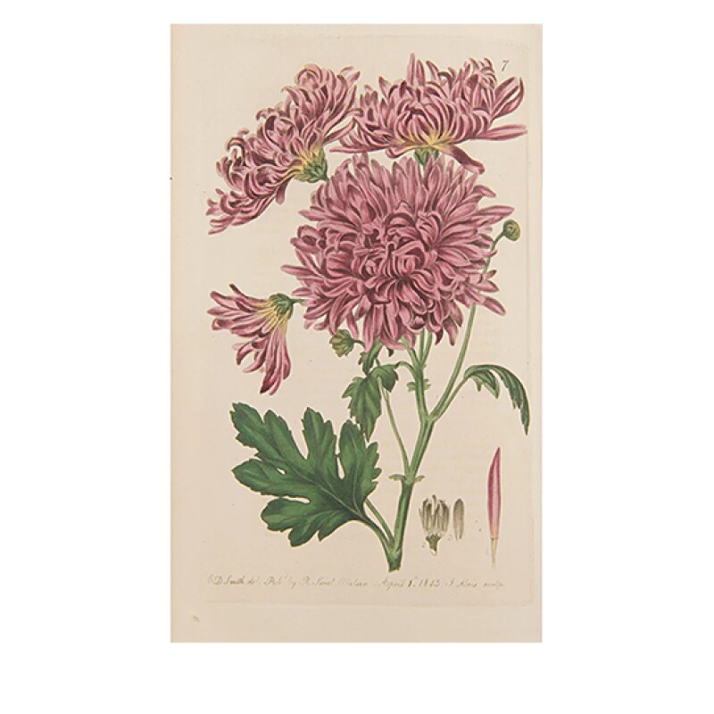 Cover image 0