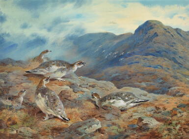 View full screen - View 1 of Lot 67. ARCHIBALD THORBURN | A COVEY OF PTARMIGAN.