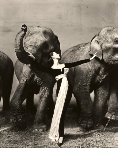 View full screen - View 1 of Lot 36. 'Dovima with elephants, Evening dress by Dior, Cirque d'Hiver, Paris, August 1955'.