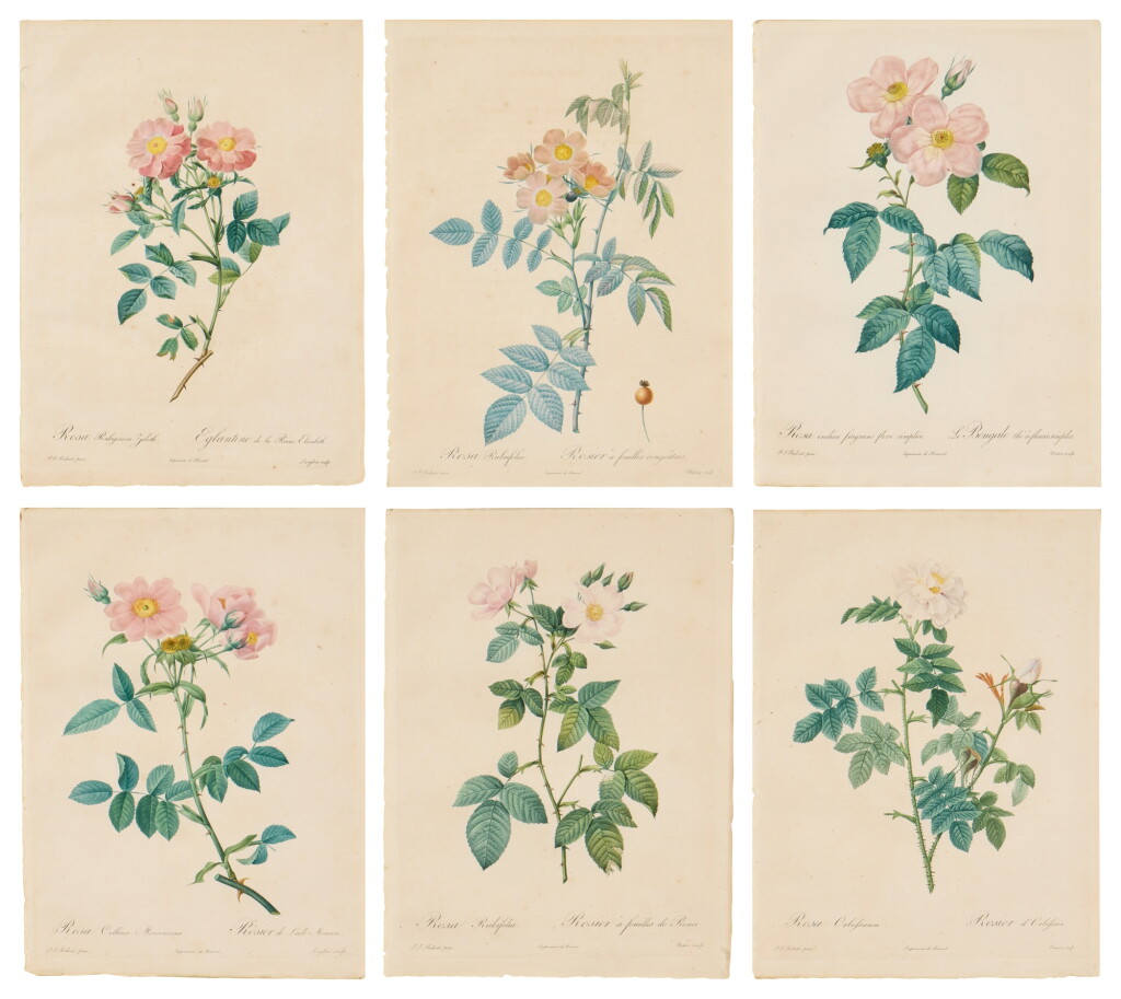 View full screen - View 1 of Lot 188. Les Roses: Six Plates.