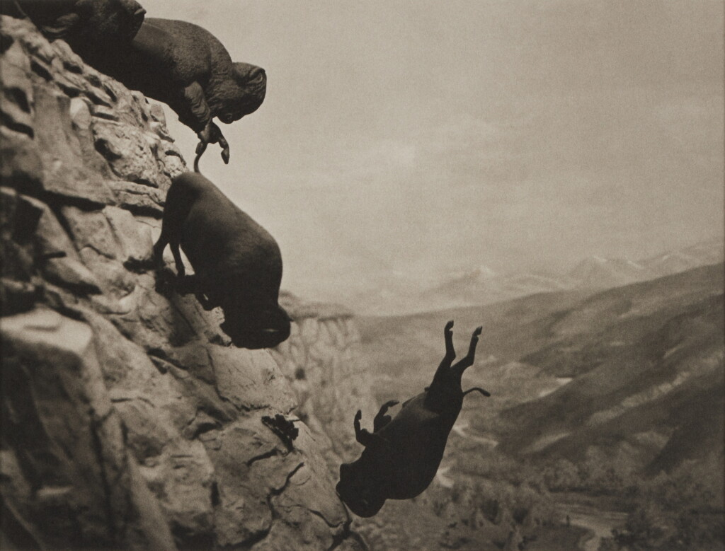 View full screen - View 1 of Lot 8. Untitled (Buffaloes).