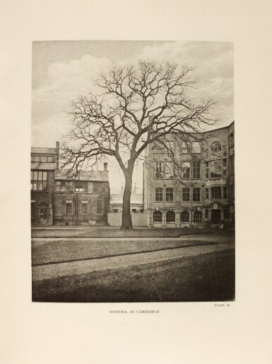 View full screen - View 1 of Lot 327. Henry John Elwes and Augustine Henry | The trees of Great Britain and Ireland, Edinburgh, 1906-13, 8 vols, half morocco.