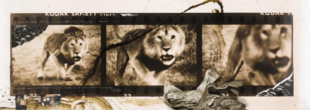 Voir en plein écran - Voir 1 du lot 73. PETER BEARD | 'LOLIONDO LION CHARGE, FOR THE END OF THE GAME / LAST WORD FROM PARADISE', 1964.