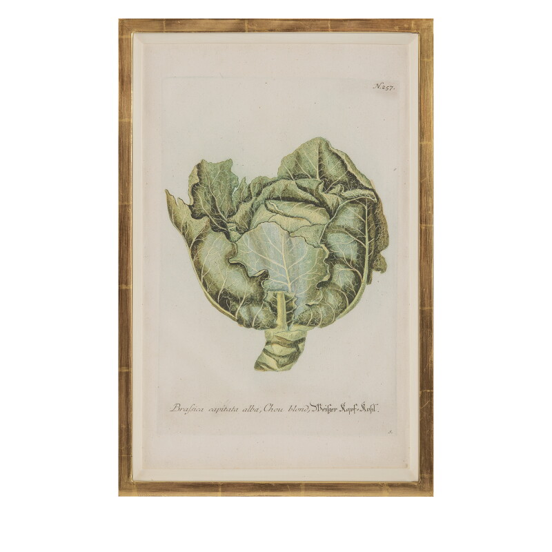 Cover image 0