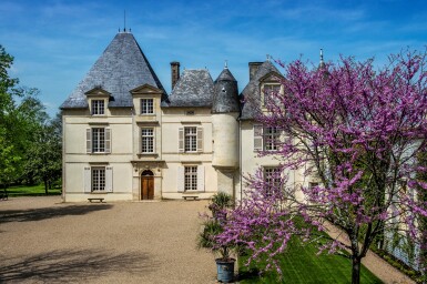 View full screen - View 1 of Lot 513. Château Haut Brion 2015 (3 MAG).
