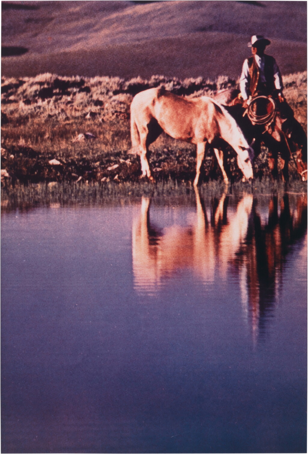 View full screen - View 1 of Lot 420. Untitled (Palomino).