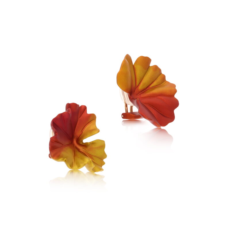 Cover image 0