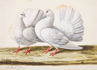 View full screen - View 1 of Lot 159. A pair of doves.