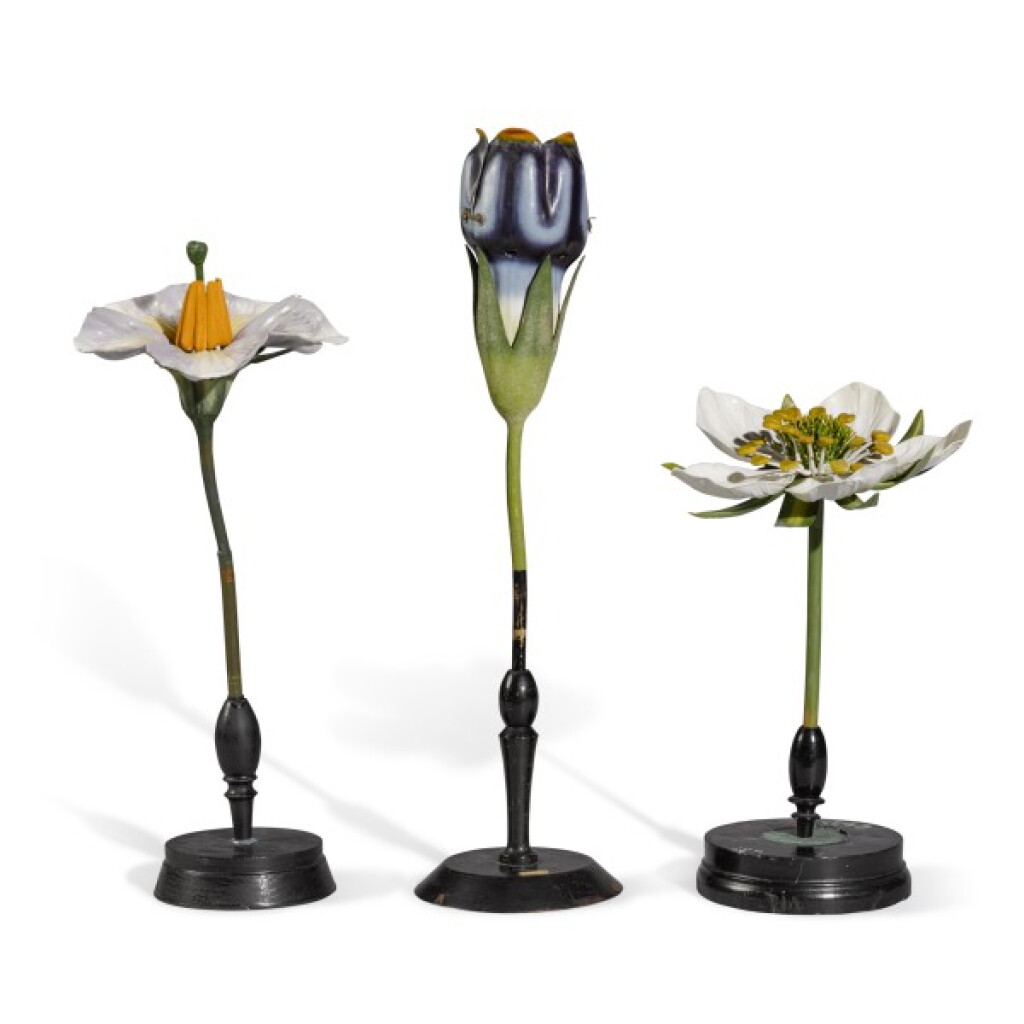 View full screen - View 1 of Lot 50. Germany & Netherlands, 20th century | Three Botanical Models.