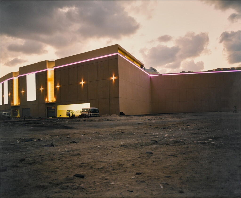 View full screen - View 1 of Lot 42. Untitled (part of the Civilization, Fake = Real? project).