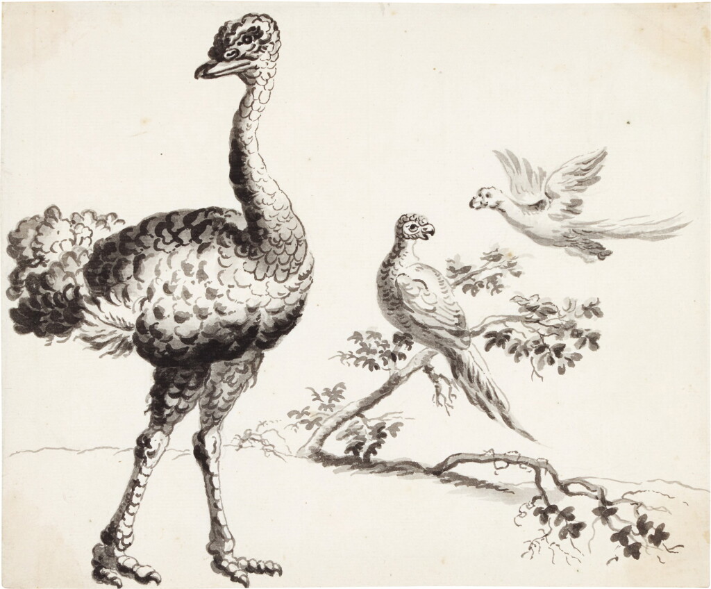 全螢幕檢視 - 查看170An ostrich and pheasants; together with a pair of peacocks and other birds的1