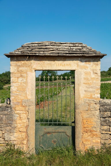 View full screen - View 1 of Lot 452. Montrachet 2017 Domaine Leflaive (1 BT).