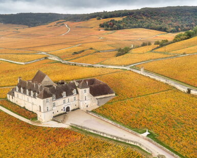 View full screen - View 1 of Lot 206. Grands Echézeaux 2002 Joseph Drouhin (7 BT).