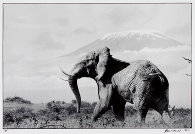 View full screen - View 1 of Lot 103. 'Ele Portfolio'.