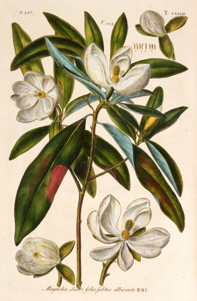 View full screen - View 1 of Lot 61. Dillenius | Hortus Elthamensis, London, 1732, 2 volumes, calf gilt by Kalthoeber.