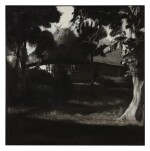 MICHELE ZALOPANY | ADDRESSEE UNKNOWN