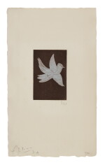 PETIT OISEAU BLEU À L'ENVOL