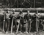 5 Idaho farmers, members of the Ola Self Help Sawmill Co-op, in the woods standing against load of logs ready to go down to their mill about three miles away. Gem County, Idaho