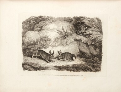 View full screen - View 1 of Lot 359. Samuel Howitt | A new work of animals, London, 1811, contemporary red morocco gilt by Thomas Gosden.