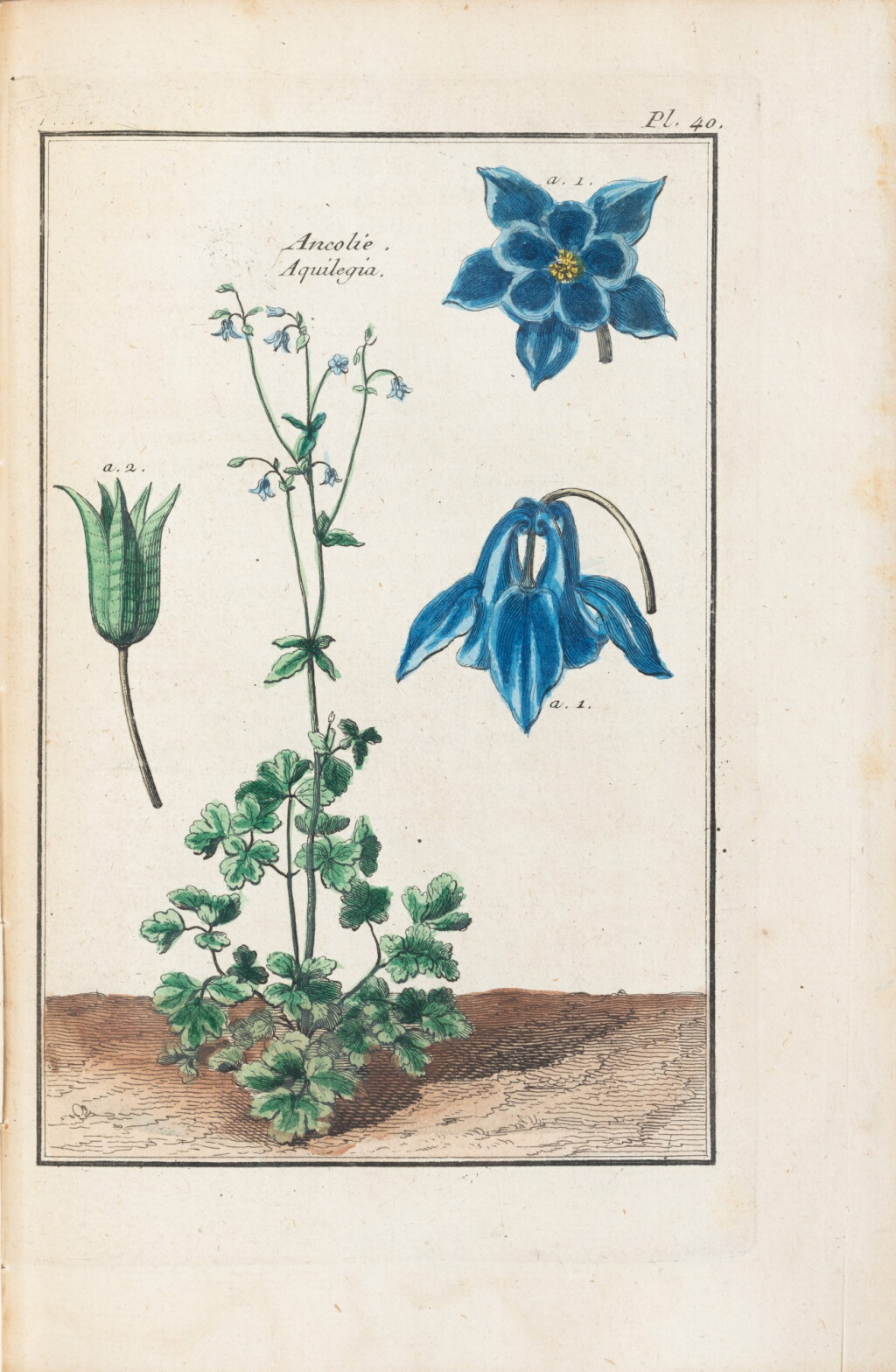 View full screen - View 1 of Lot 58. Dictionnaire des plantes usuelles... Paris, an II. 8 vol. in-8. Reliure de l'époque..