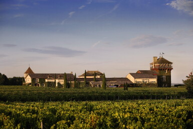 View full screen - View 1 of Lot 1190. Château Smith Haut Lafitte 2010 (12 BT).