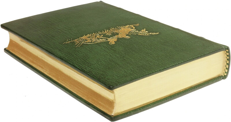 Cover image 0
