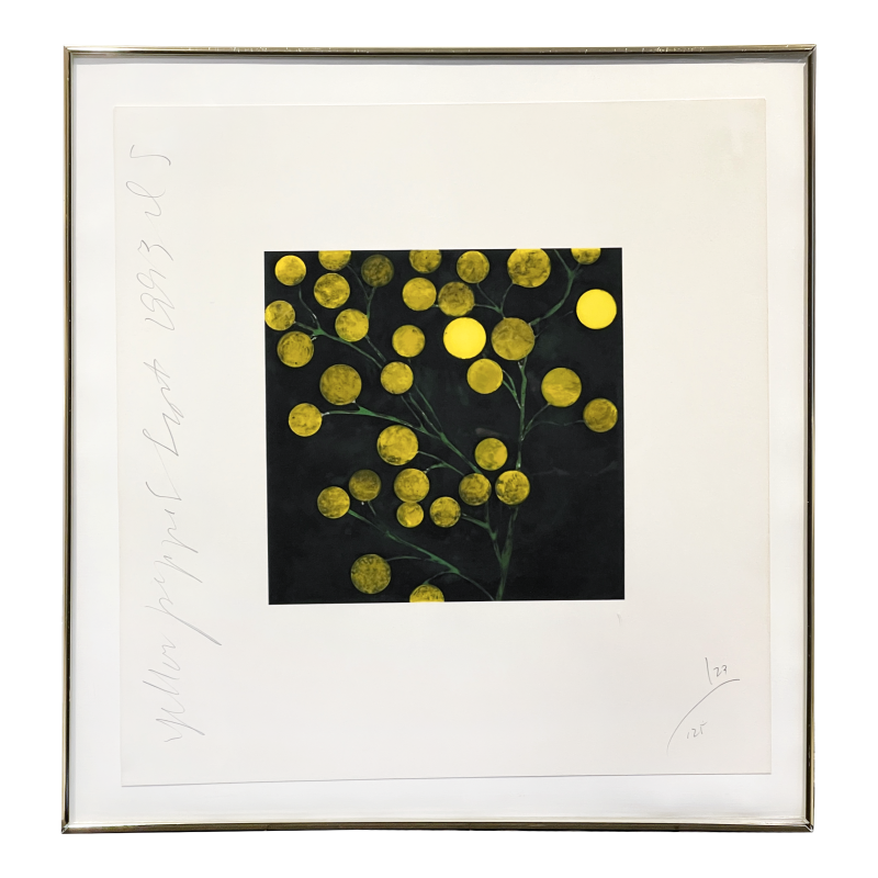 Cover image 0